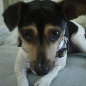 Meet your Posher, Frank